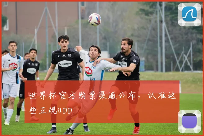 世界杯官方购票渠道公布,认准这些正规app