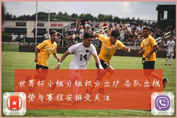 世界杯小组分组积分出炉 各队出线形势与赛程安排受关注
