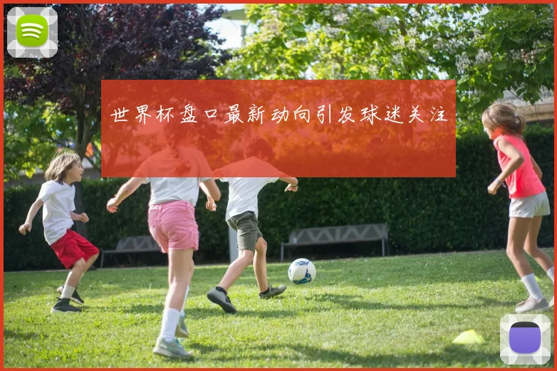 世界杯盘口最新动向引发球迷关注
