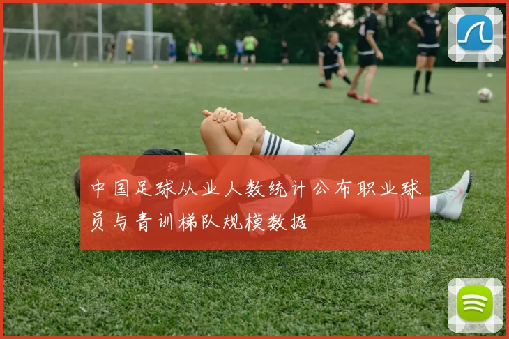 中国足球从业人数统计公布职业球员与青训梯队规模数据