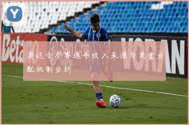 奥运会参赛选手收入来源与奖金分配机制分析