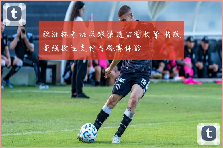 欧洲杯手机买球渠道监管收紧 将改变线投注支付与观赛体验