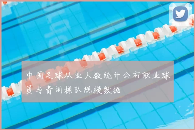 中国足球从业人数统计公布职业球员与青训梯队规模数据